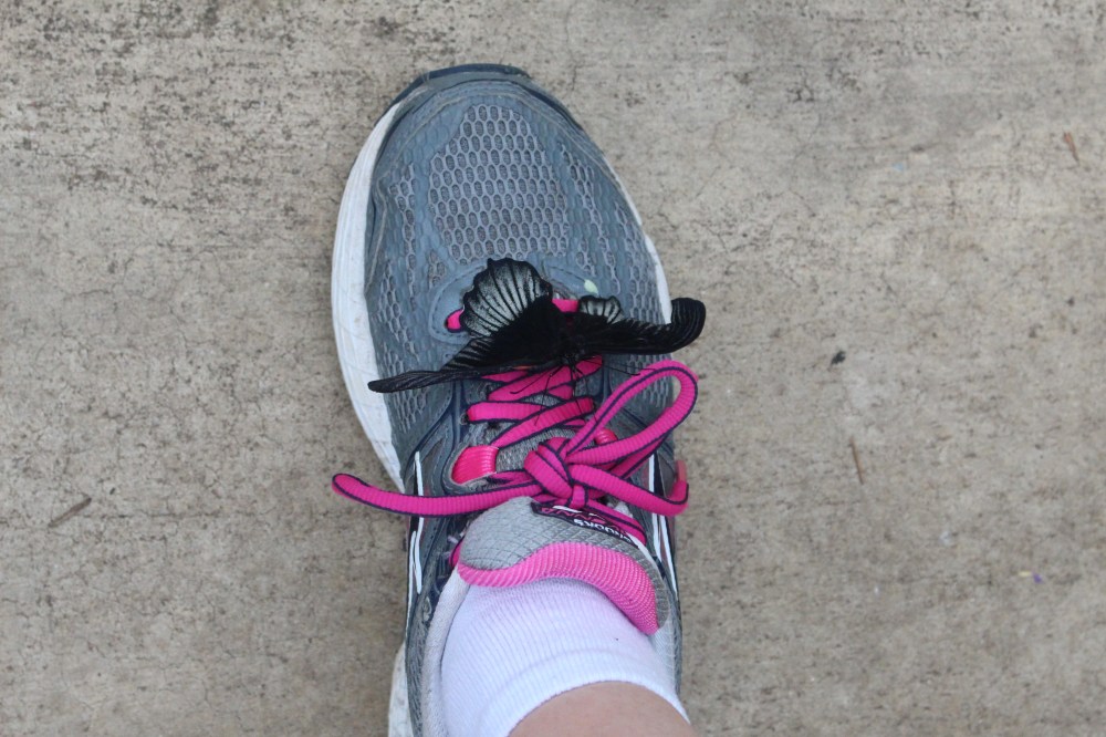 I think he liked my pink shoelaces!