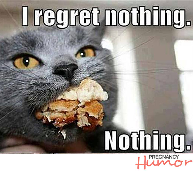 cat-eating-pregnancy-meme